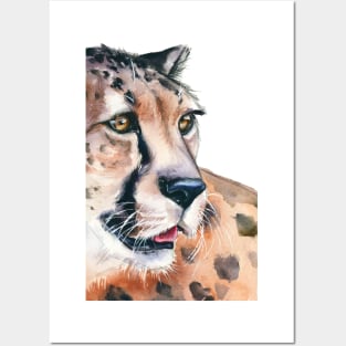 Wild Cat Posters and Art